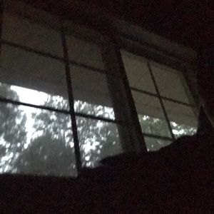 Meet your Posher, Elodie